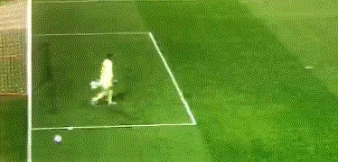 1647730380653092401.gif 动画 (1805).gif